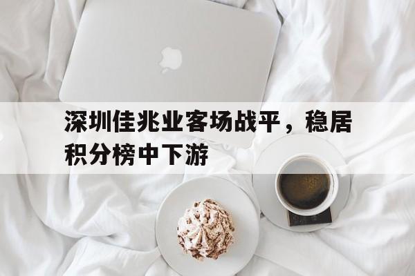半岛bandao体育-深圳佳兆业客场战平，稳居积分榜中下游