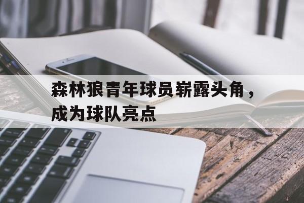 安装步骤-森林狼青年球员崭露头角，成为球队亮点